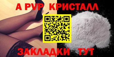 jwh Кингисепп