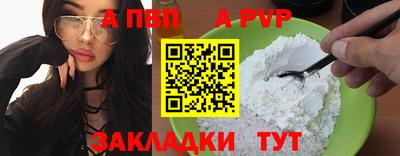 jwh Кингисепп