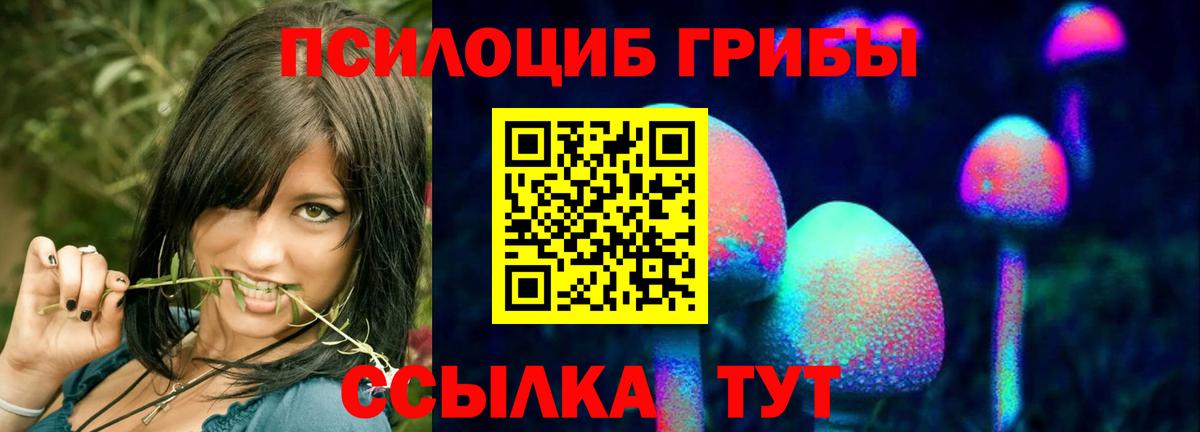 Псилоцибиновые грибы GOLDEN TEACHER  Вход с VPN  Керчь  Псилоцибиновые грибы GOLDEN TEACHER 